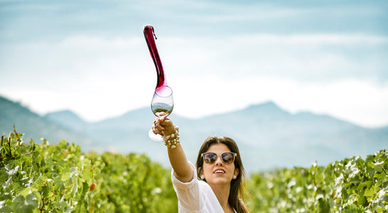 In Napa with Isabel Freeman